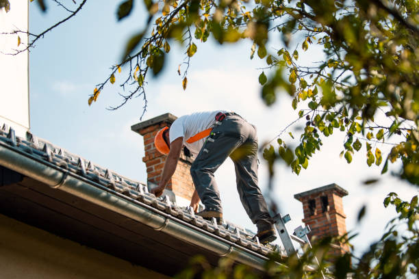 Best Flat Roofing  in Ravena, NY