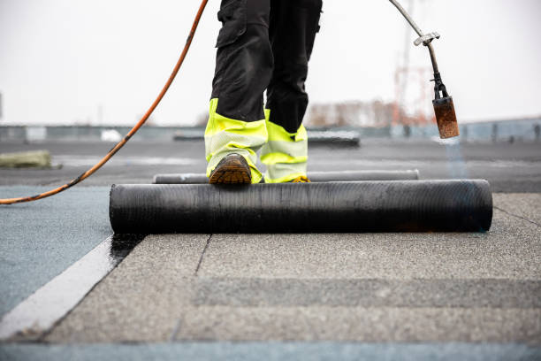 Best Roof Moss and Algae Removal  in Ravena, NY